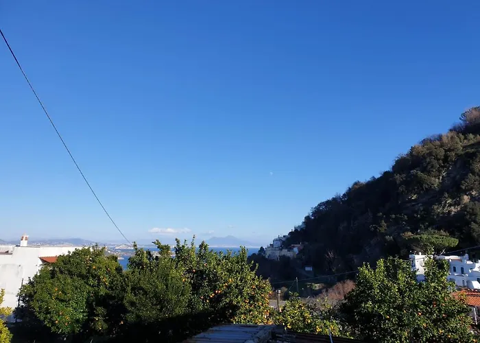 Lejlighed Sweet La Chicca *